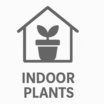 Indoor Plants