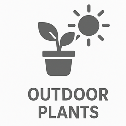 Outdoor Plants
