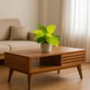 Stylish Delhi Living Room_remix_with plant