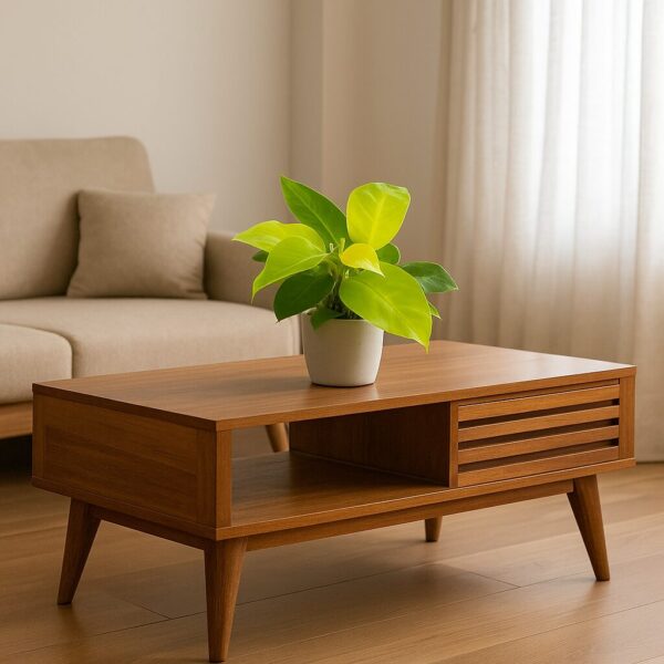 Stylish Delhi Living Room_remix_with plant