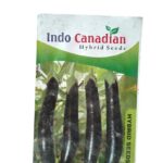 brinjal seeds cover