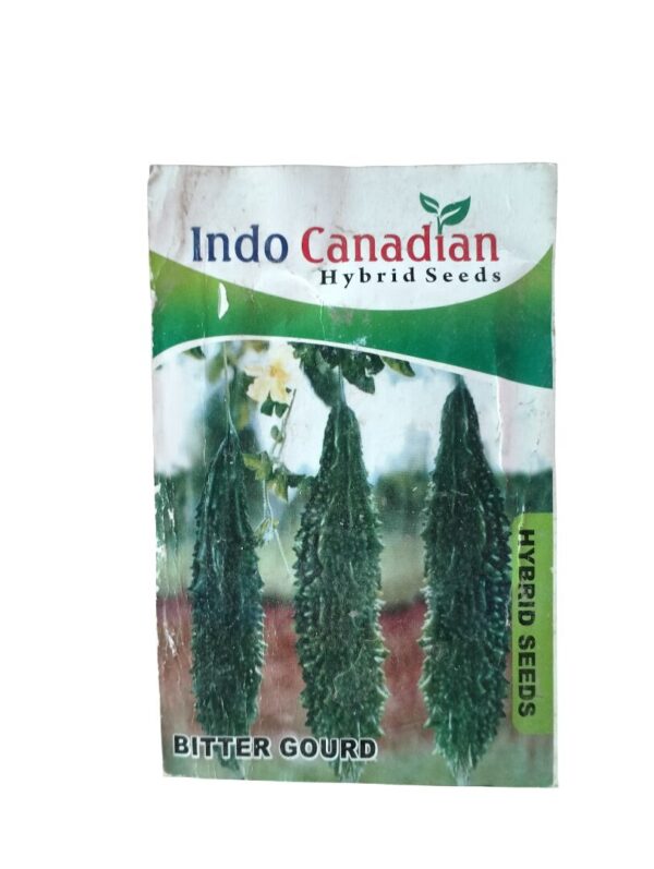 Karela Hybrid Seeds – Bitter Gourd for Home Growing