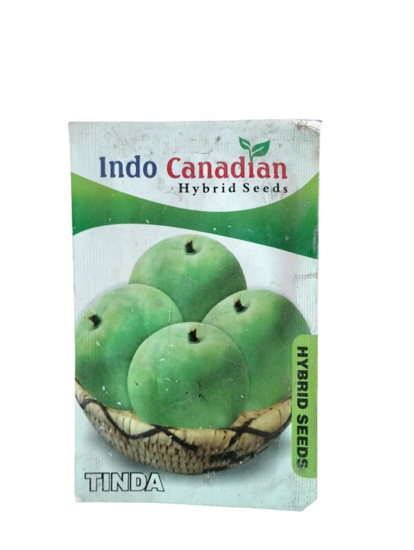 Tinda Seeds – Round Gourd Hybrid for Home Kitchen Gardens