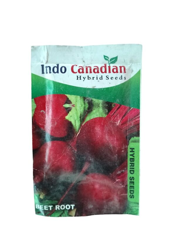 Beetroot Seeds – Deep Red Hybrid Chakundar for Easy Home Growing
