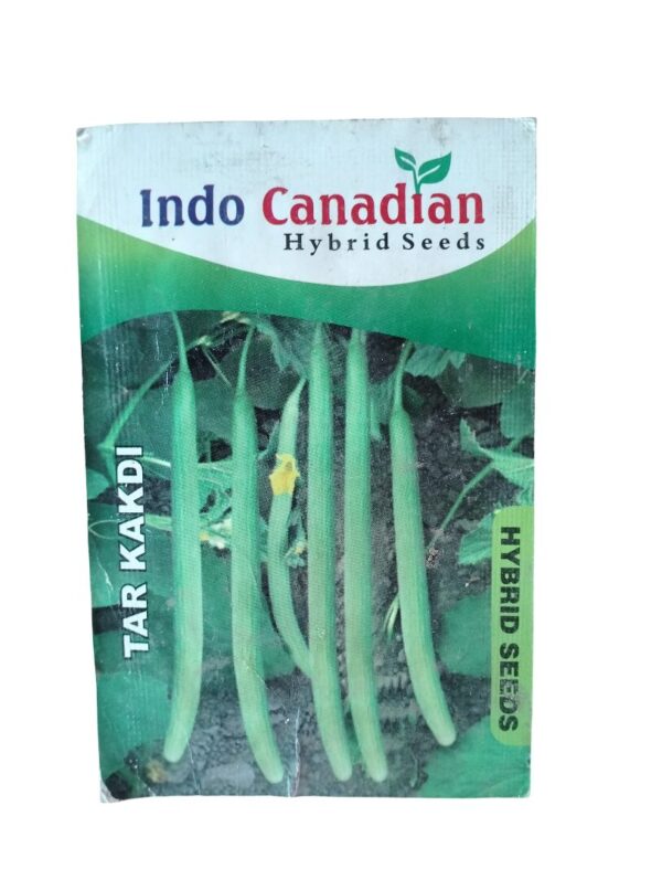 Tar Kakdi Seeds – Long Cooling Cucumber for Home Harvests