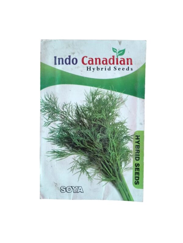 Soya Seeds – Hybrid Suva Bhaji for Kitchen Garden Freshness