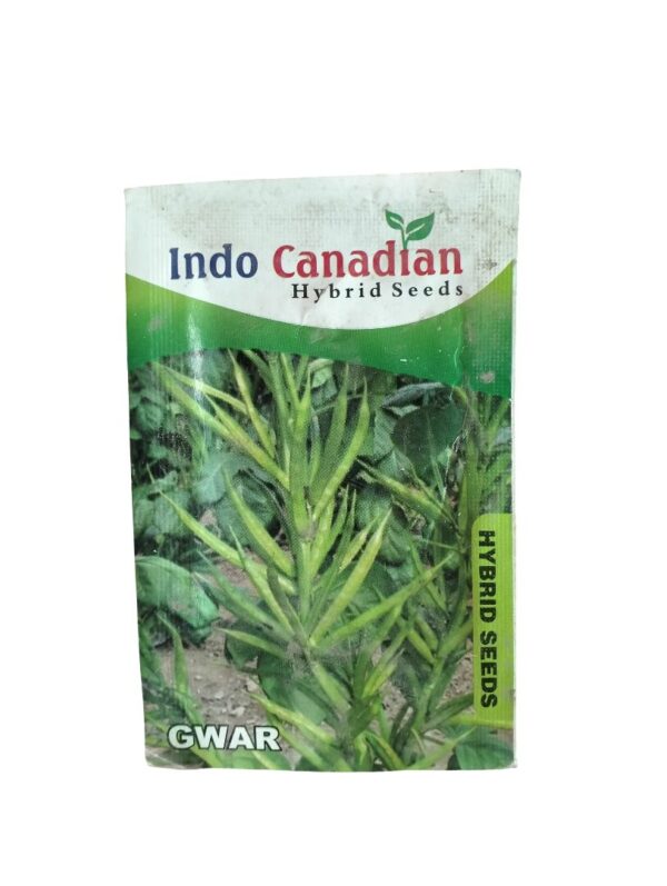 Gwar Seeds – High-Yield Cluster Beans for Kitchen Gardening