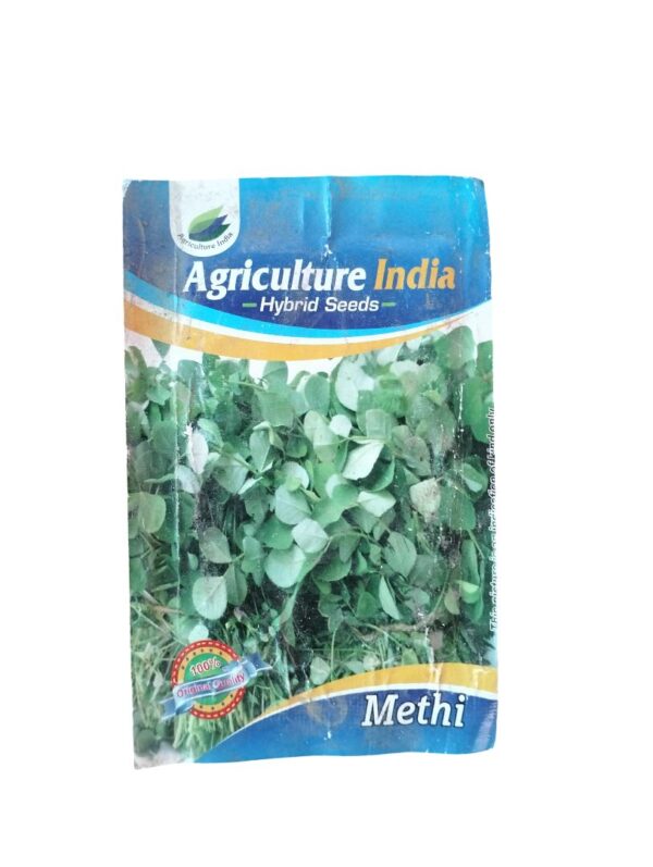 Methi Seeds – Quick-Growing Fenugreek for Fresh Daily Harvests
