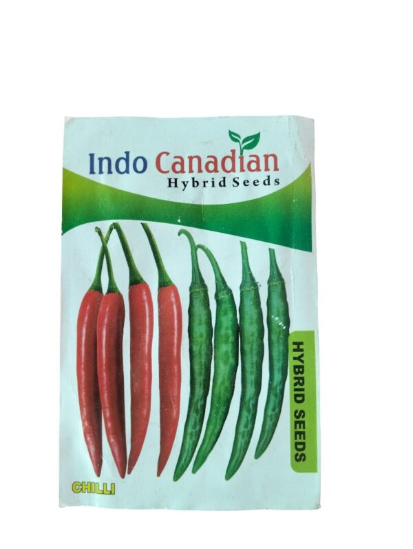 Chilli Seeds – Spicy Hybrid Mirchi for Balcony & Kitchen Gardens