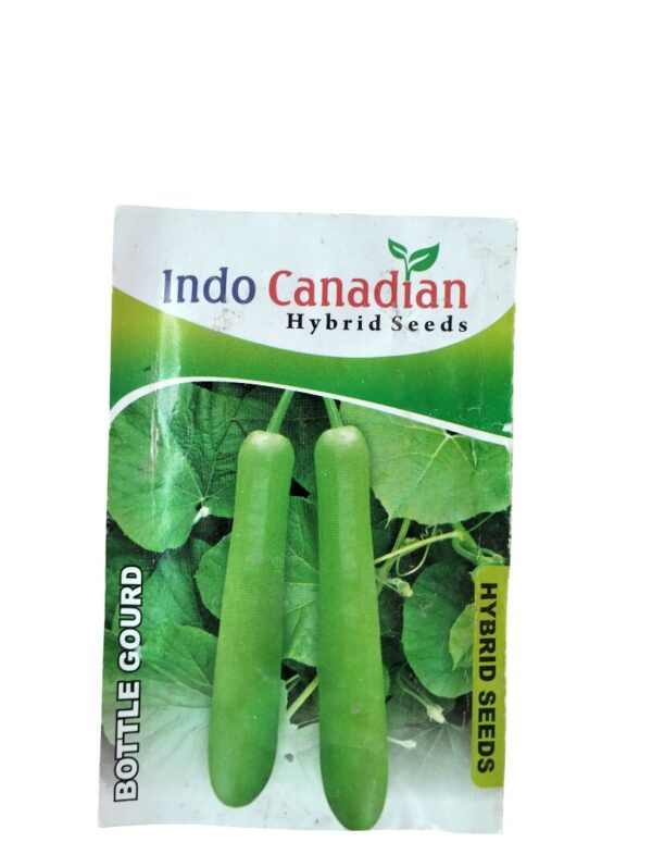 Bottle Gourd Seeds – Hybrid Lauki for High-Yield & Tender Fruits