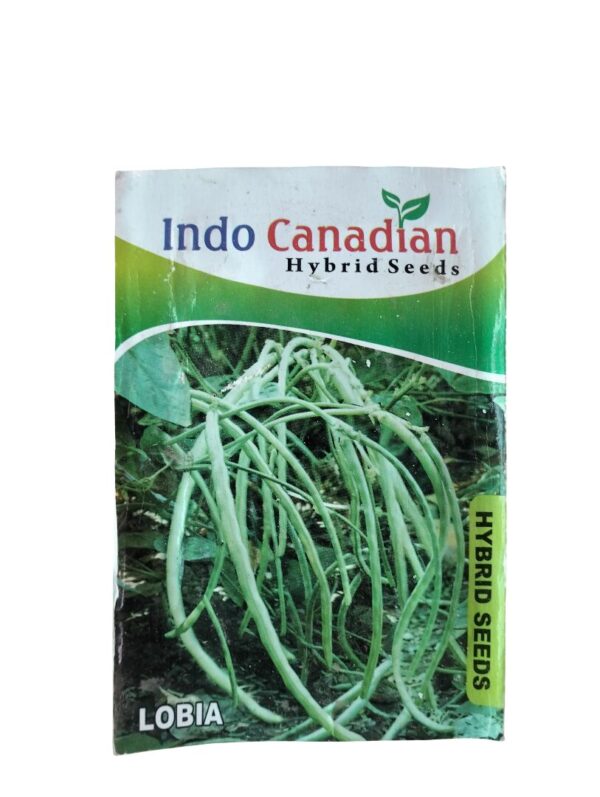 Lobia Seeds – High-Yield Hybrid Cowpea for Nutritious Home Growing