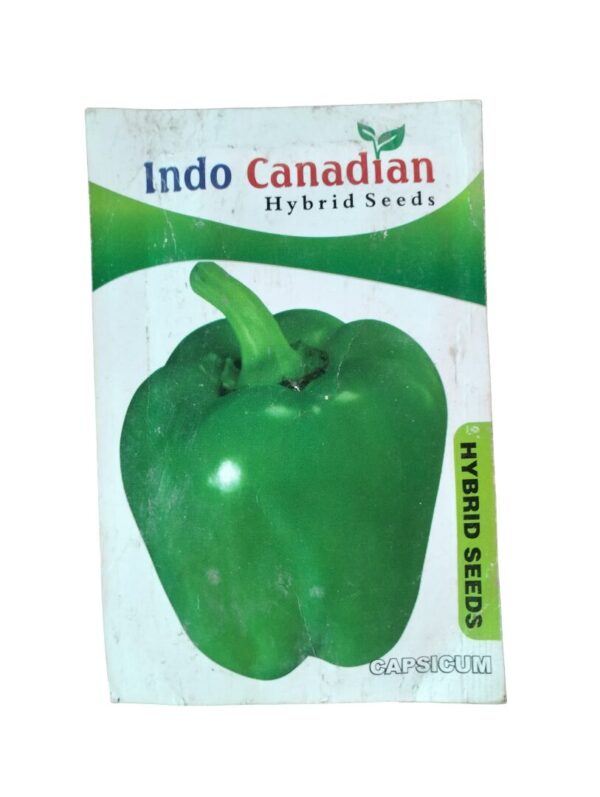 Green Capsicum Seeds – Hybrid Shimla Mirch for Crisp & Glossy Fruits