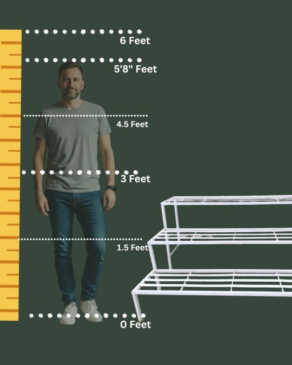 size comparison for stand