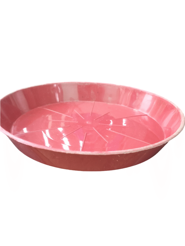 Red Plastic Plant Plate