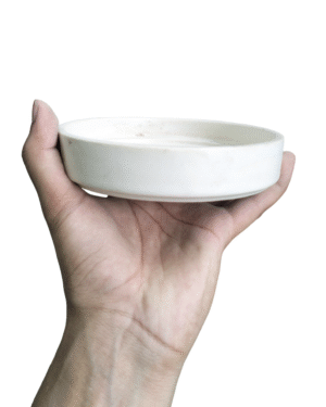 Ceramic Plate - 5 inch