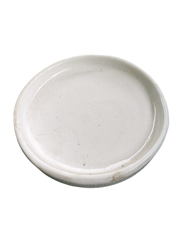 Ceramic Plate